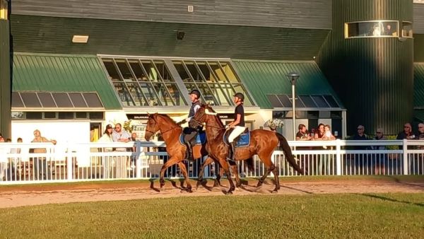 Deux cavaliers lors d’une journée consacrée aux chevaux réformés